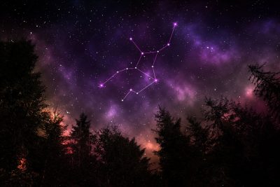 Virgo constellation in starry sky over conifer forest at night, low angle view